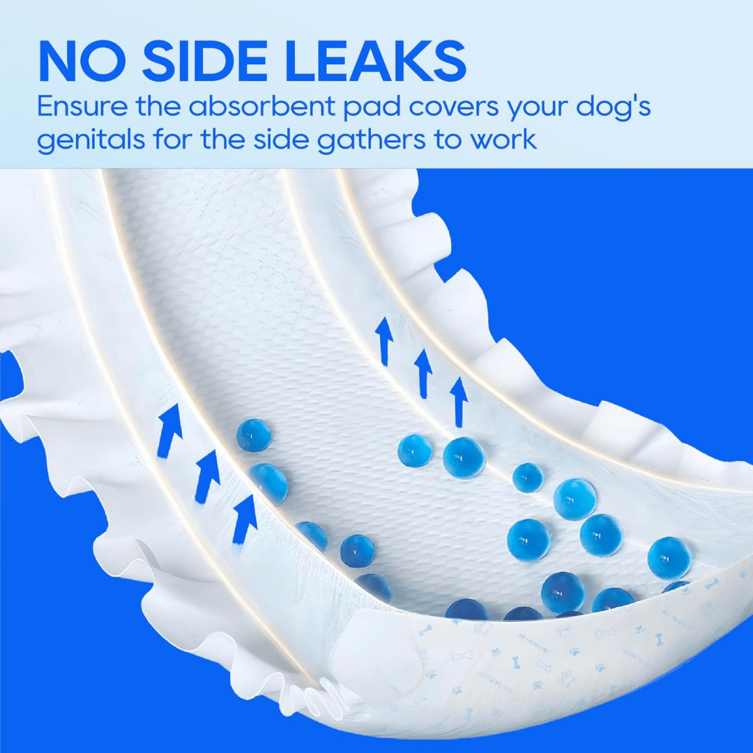 GentleWrap Pro™ - The 2-Second Leak Stopper